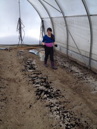 On met du compost pour les rabioles et betteraves